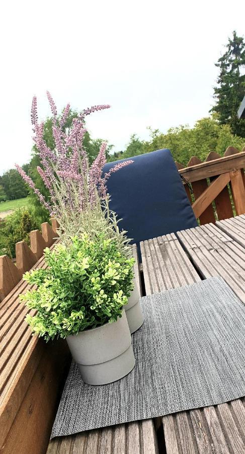 Grosse Koje Mit Terrasse Apartment Росток Екстериор снимка